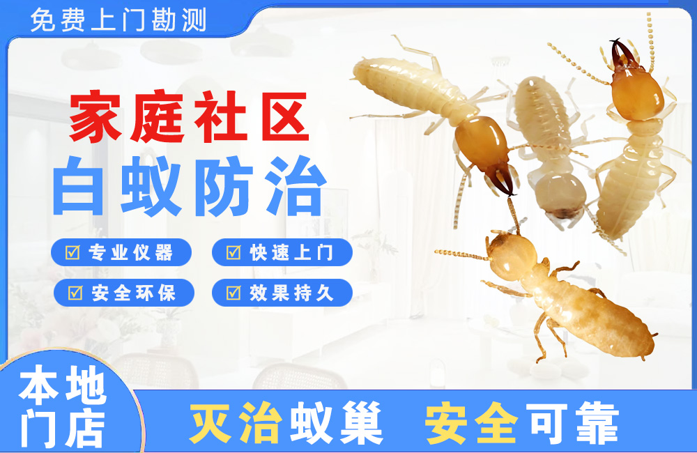 句容家庭社区白蚁防治