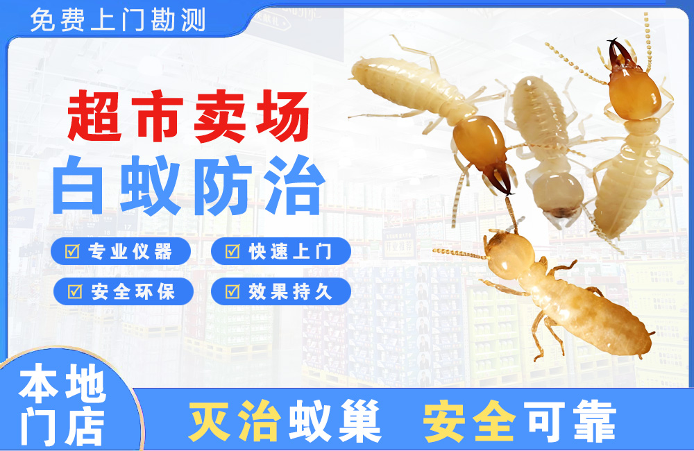 句容超市卖场白蚁防治