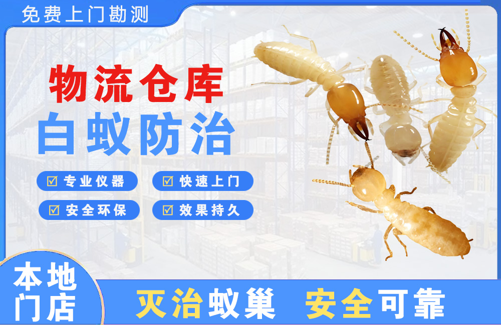 句容物流仓库白蚁防治