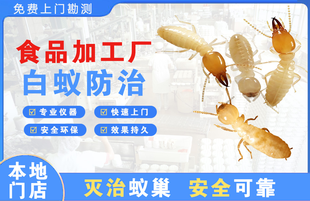句容食品加工厂白蚁防治