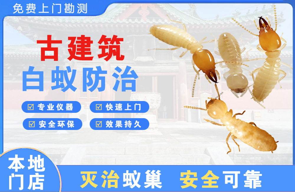 句容古建筑白蚁防治