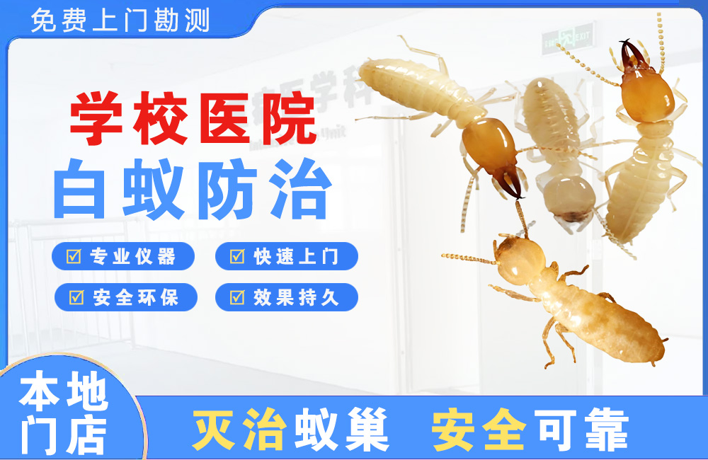 句容学校医院白蚁防治