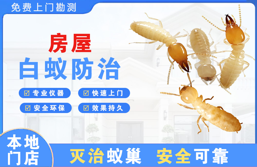 句容房屋白蚁防治