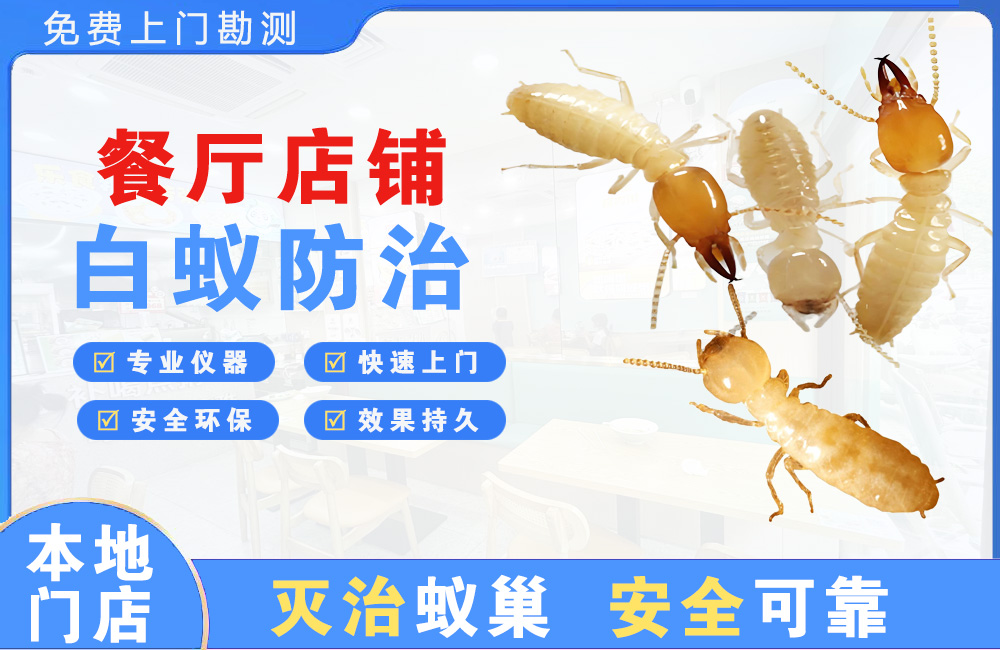 句容餐厅店铺白蚁防治